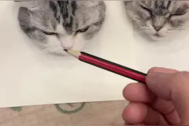 一口气画两幅 真厉害#被迫营业的猫猫 #猫咪表情包 #猫咪的不服全写在脸上视频封面