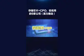 存储芯片+CPO，较优秀的9家公司（算力推动） #芯片#CPO #科技 #中国制造视频封面
