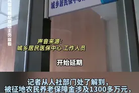 被征地农民养老保障金迟发，失地老人：这对我们很重要，人社、财政部门：正在走流程（2）视频封面