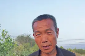 石榴树扦插选择什么时间#新农人计划2023 #分享农业知识帮农民增产增收 #支持三农扶持三农发展 #来抖音学农枝 #抖音助农