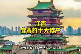 江西宜春的十大特产#地方特产 #家乡特产 #特产 #分享家乡特产视频封面