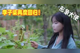 抖音官方活动封面人物——熟悉的李子柒或再度回归！#
