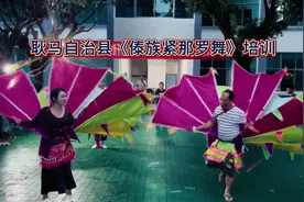 耿马自治县省级非遗项目《傣族紧那罗舞》培训#非物质文化视频封面