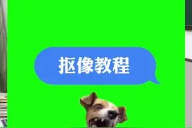 猫meme绿幕素材如何抠像？教程来啦#猫meme小剧场 #沙雕动画 #内容过于真实 #绿幕素材 #剪辑教程