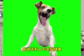 猫meme绿幕素材如何抠像？教程来啦#猫meme小剧场 #沙雕动画 #内容过于真实 #绿幕素材 #剪辑教程