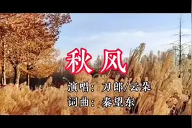 #刀郎/云朵合唱一首《秋天》#太好听了#歌曲时间有点儿长