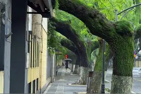 “一条颐和路，半部民国史。莫叹芳菲尽，皆有绿树荫”#南京#颐和路#民国建筑视频封面