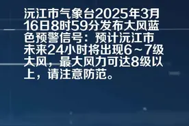 沅江市气象局发布大风蓝色预警[Ⅳ级/一般]视频封面