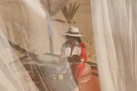 撒哈拉的故事视频封面