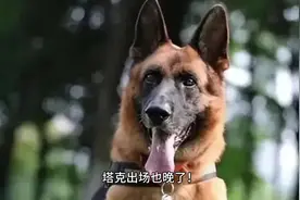 塔克出场也晚了！福建8岁失联男孩父亲联系过塔克，但价钱没谈拢