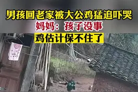 男孩回老家被大公鸡猛追吓哭，妈妈：孩子没事，鸡估计保不住了@旺崽。
