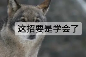 #聊天记录 #幻术 #聊天截屏 情侣之间学会这招视频封面