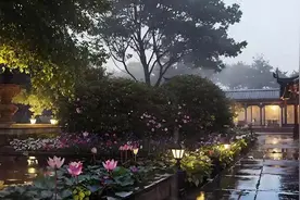 雨落在古寺中，静谧的雨声氛围。 助眠的雨声，助您快速入眠。视频封面