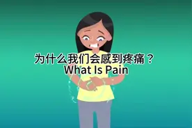 #英语 #十万个为什么 为什么我们会感到疼痛？ What Is Pain