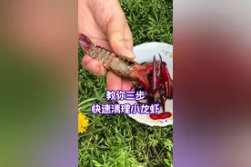 小龙虾虽然好吃，但一定要清理干净，只需三步就清理干净了#小龙虾 #吃龙虾的季节视频封面