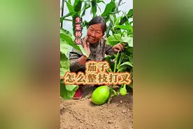 茄子怎么整枝打叉 茄子怎么整枝打叉#茄子种植 #茄子管理 #生菜杨姐 #三农 #三农种植 @DOU+小助手视频封面
