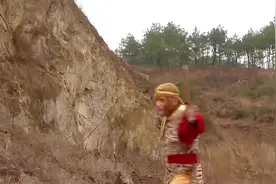 为什么孙悟空的金箍棒几乎没有展示出性能优势呢？ #历史 #西游记视频封面