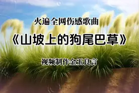 火遍全网伤感解压神曲：《山坡上的狗尾巴草》，旋律上头视频封面