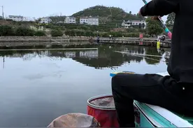 这个季节的混养，长线有奇效😂😂#原来钓鱼才是抖音运动顶流   #汉鼎全能战  #汉鼎渔具