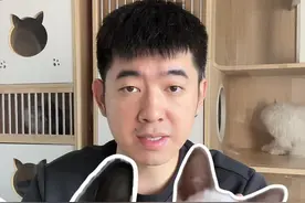 暹罗猫多少钱一只？ 什么样的暹罗是纯种的，什么样的事串串猫，这条视频给你说清楚#暹罗猫 #暹罗 #暹罗宝宝 #逻辑猫 #像狗一样的猫