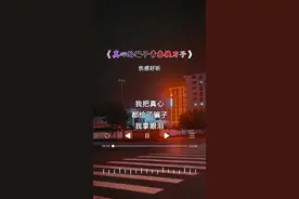 我把真心都给了骗子，我拿眼泪换来了懂事，熬过了半生才懂得了本质，这样的醒来算不算太迟…#就怕歌词入了心 #说不出的或许都在歌里 #愿所有真情都不被辜负 #情感音乐视频封面