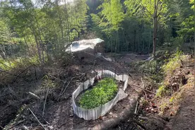 野外生活100天第43-45天，山里连续下了三天雨，气温骤降视频封面
