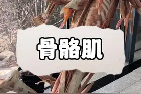 骨骼肌 肌肉收缩带动骨活动，就产生了运动#科普知识 #人体结构 #内容启发搜索 #人体奥秘