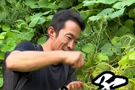 今天抽空过来采点菟丝子藤，晾干备用，你们知道它的妙处吗？#野生草药 #采药人 #植物科普 #农村生活 #菟丝子视频封面