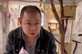 松鼠宝宝下崽了 用摄像头记录下 这只雪地松鼠下崽令我太突然 没想到这么快就下崽了 乐园小松鼠们必须得隔离了 不然别的松鼠会打扰它们#雪地松鼠 #萌宠日常记录 #人工养殖小松鼠视频封面