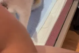 19岁的老猫为这个家操碎了心，我就是感冒了，它看我躺两天了，不停地叫唤，以为我噶了，我醒了它就这样蹲我旁边给急的#心思全写在脸上的猫 #它只是不会说话其实它什么都懂 #19岁猫咪视频封面