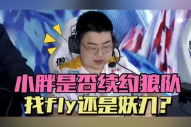 小胖可能和狼队不续约，哪个下家最合适视频封面