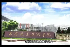 武汉职业技术学院#志愿填报