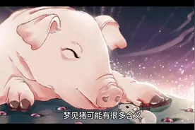 #解梦之梦见猪#关注我每天分享不同的故事视频封面