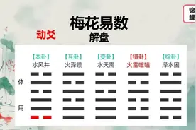 梅花易数入门教学 零基础教学 小白入门 
#梅花易术 #玄学视频封面