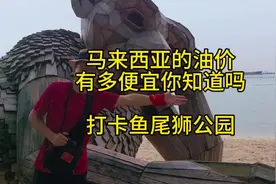 马来西亚的油价有多便宜你知道吗？打卡鱼尾狮公园#旅行视频封面