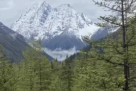 #戒色的好处 #戒为良药不泄为补 #强身健体正能量