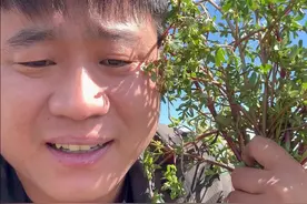 到底那块才是南方，大家也别吵了，来个学问高的说一说！#南北差异 #抖音美好丰收节 #中国农民丰收节