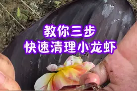 教你三步，快速清理小龙虾#小龙虾 #吃小龙虾的季节