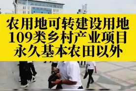 农用地可转建设用地，109类乡村产业项目暴富#乡村振兴 #乡村产业 #返乡创业 #农村土地 #农用地视频封面