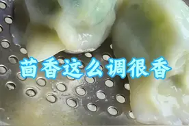 这是我喜欢调茴香馅其中的一种方法，很香不油腻#好吃不如饺子 #茴香馅饺子做法视频封面