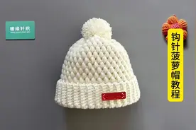 钩针菠萝帽教程完整版，手工钩针编织毛线帽子#帽子教程视频封面