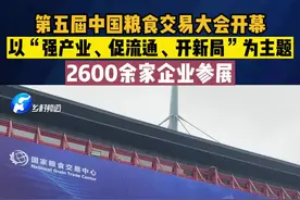 8月26日上午，第五届中国粮食交易大会在河南郑州会展中心开幕#中国粮食交易大会 #河南郑州 #粮食视频封面