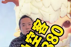 电车？油车？怎么选，陆地空客，吉利翼真，真正豪华在于他每一个细节。#吉利翼真 #吉利新能源汽车 #奔驰v300l视频封面