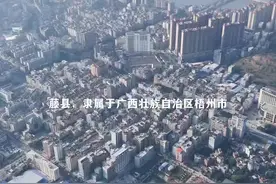 藤县，隶属于广西壮族自治区梧州市，位于广西东部，东接苍梧县、龙圩区，南连岑溪市、容县，西邻平南县，北靠蒙山县、昭平县。截至2023年2月，总面积3946.19平方千米，全县辖15个镇、2个乡；截至2022年末，全县常住人口79.73万人。有“广西科学发展十佳县”等称号。视频封面