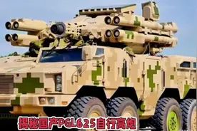 揭秘国产PGL-625自行高炮#国产自行高炮 #PGL625 #军事爱好者视频封面