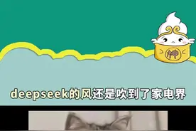 好家伙，以前写在作文里的梦想终于实现了！#AI里AI气的家电 #董宇辉王冰冰awe直呼黑科技 #AWE2025 #春天给家变个装 #春天焕新家视频封面
