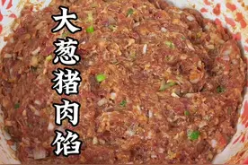 过年想吃饺子饺子馅，你又像我这样做，鲜嫩多汁肉，香味浓郁#饺子馅 #我是美食创作者 #年夜饭菜单提前曝光了 #猪肉大葱馅 #嘎嘎好吃