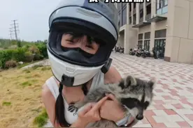 小浣熊犯错了能不能打？ #小浣熊 #机车视频封面