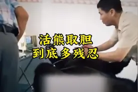活取熊胆，到底有多残忍？ #熊胆 #科普一下 #奇闻趣事