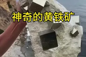 神奇的黄铁矿，外表像精密机械加工的，又被人们称为“愚人金” #有趣 #科普 #黄铁矿